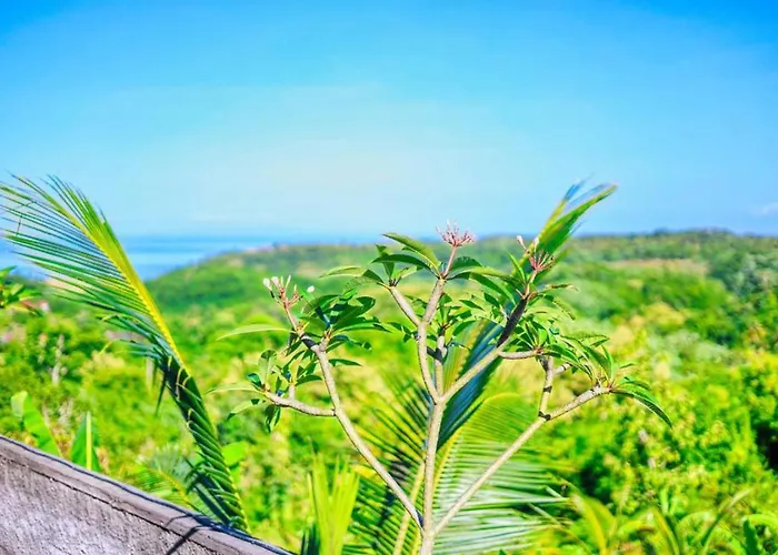 The Penida Angmas View 3*